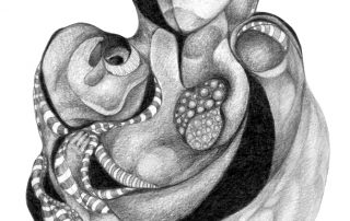 metanoia series abstract entitled nestling artist Rosemarie K. Robuck